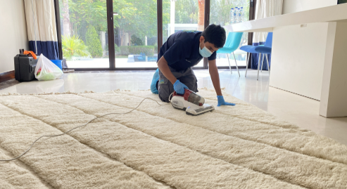 Carpet Cleaning